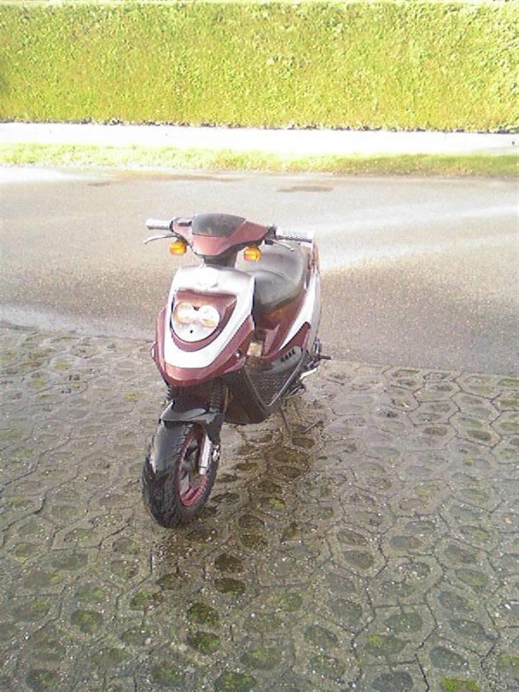 PGO Hot 50 ( SOLGT ) billede 1