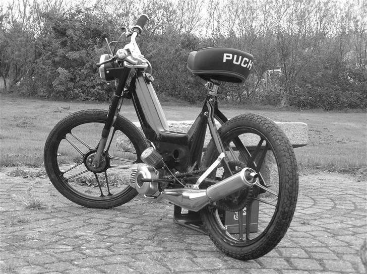 Puch Maxi K billede 5