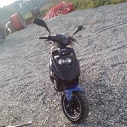 PGO Hot 50