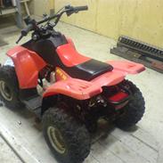 MiniBike atv (byttet)