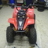 MiniBike atv (byttet)