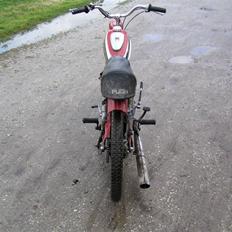 Puch ms 50 (SOLGT)