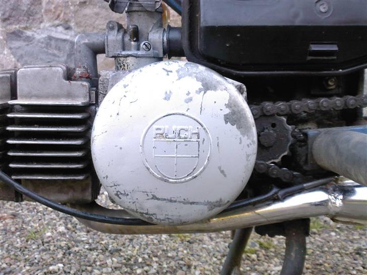 Puch Maxi-til salq ellr byt :P billede 9