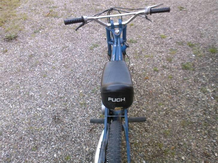 Puch Maxi-til salq ellr byt :P billede 15