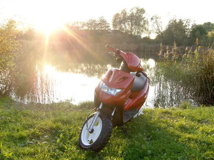 CPI Popcorn (SOLGT) billede 3