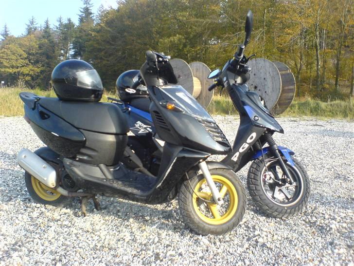 PGO Hot 50 billede 6