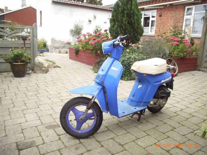 Honda melody ( madame blue) billede 1