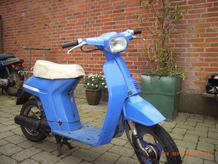 Honda melody ( madame blue) billede 3