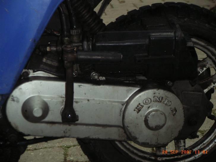 Honda melody ( madame blue) - shit en vild´er motor!!!! billede 11