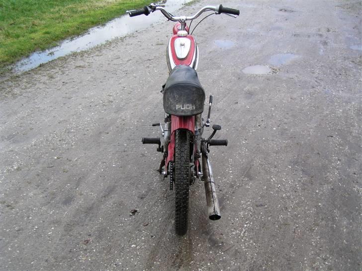 Puch ms 50 (SOLGT) billede 3
