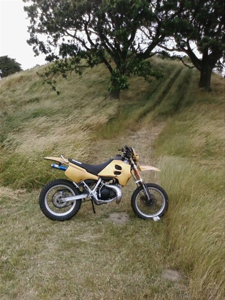 Suzuki SMX LC   billede 16