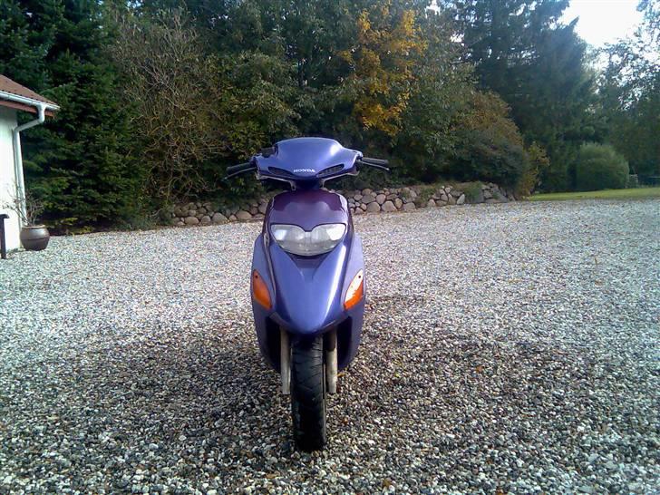 Honda sfx solgt billede 1