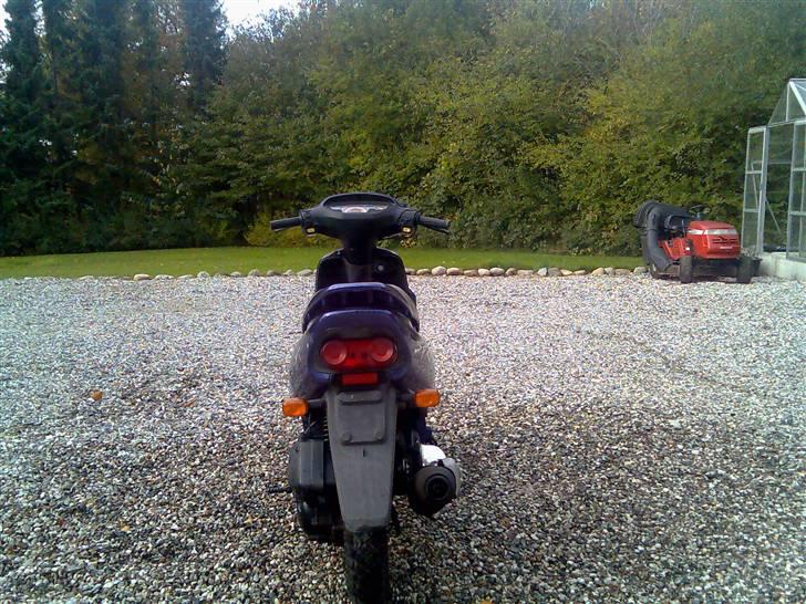 Honda sfx solgt billede 5