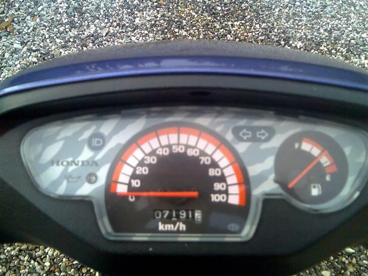 Honda sfx solgt billede 6