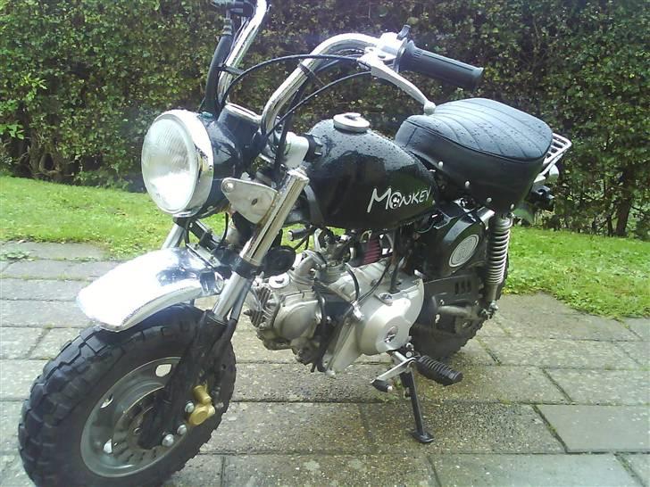 Skyteam Monkey SOLGT billede 1