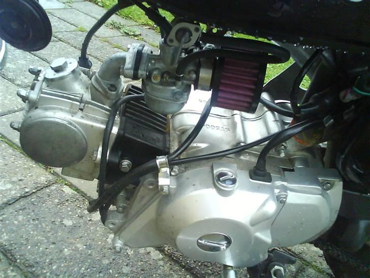 Skyteam Monkey SOLGT billede 6