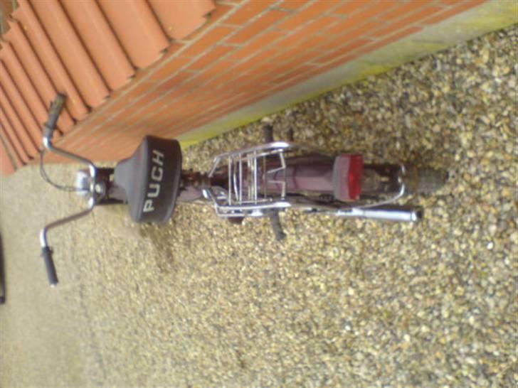 Puch maxi  Athena     solgt !! billede 2