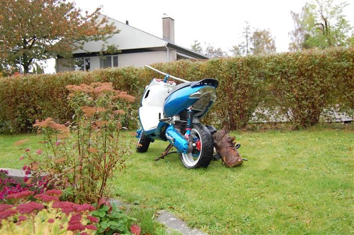 Aprilia Sonic SR SOLGT billede 15