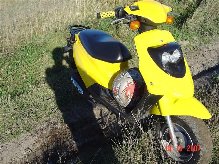 PGO big max projekt billede 4