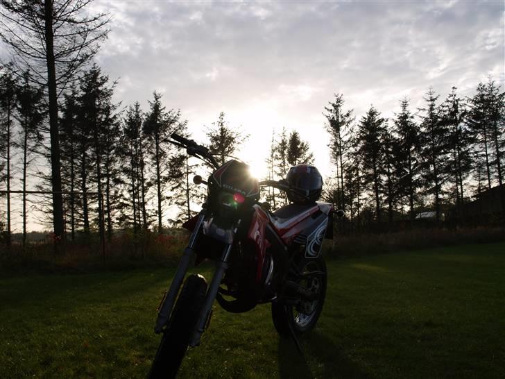 Gilera SMT #solgt billede 16