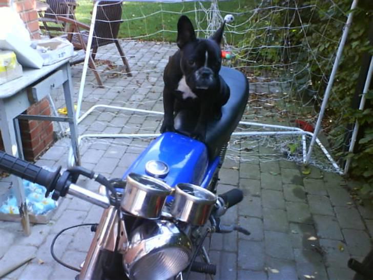 Yamaha 4 gear billede 15