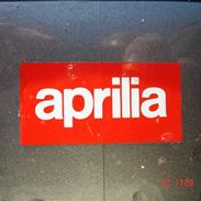 Aprilia                    Rally 