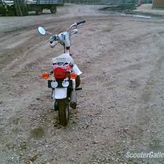 Suzuki fz50 SOLGT
