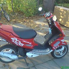 Peugeot Speedfight 2 Total Skadet!