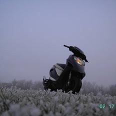 Honda Sfx ( The Demon ) Solgt