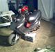 Adly Falcon SOLGT