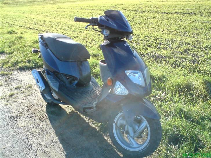 PGO dr. big SOLGT billede 2