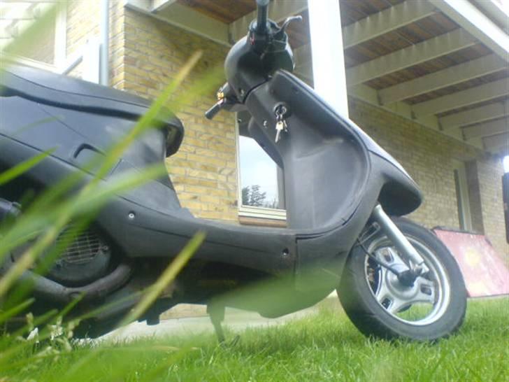 PGO Comet - En frø kom lige hoppende og tog et billede? billede 5