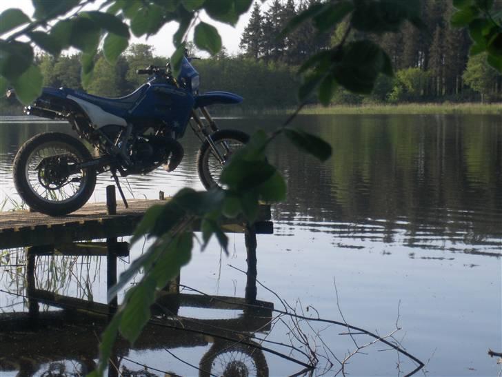 Suzuki SMX 70cc SOLGT - igen, ud over søen.. billede 2