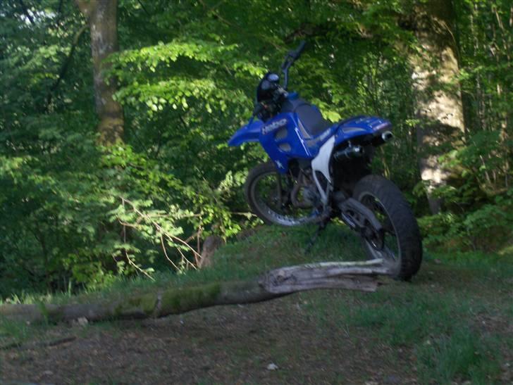 Suzuki SMX 70cc SOLGT - i skoven.. billede 7