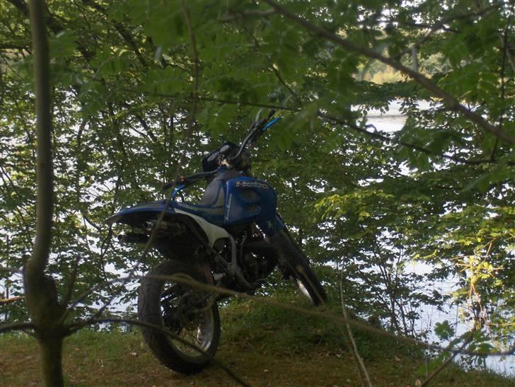 Suzuki SMX 70cc SOLGT - i skoven.. billede 8