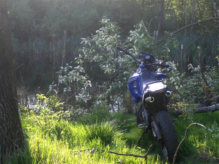 Suzuki SMX 70cc SOLGT - igen, ud over søen.. billede 9