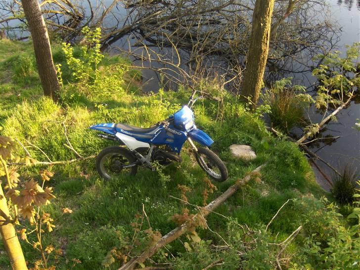 Suzuki SMX 70cc SOLGT - igen, ud over søen.. billede 10
