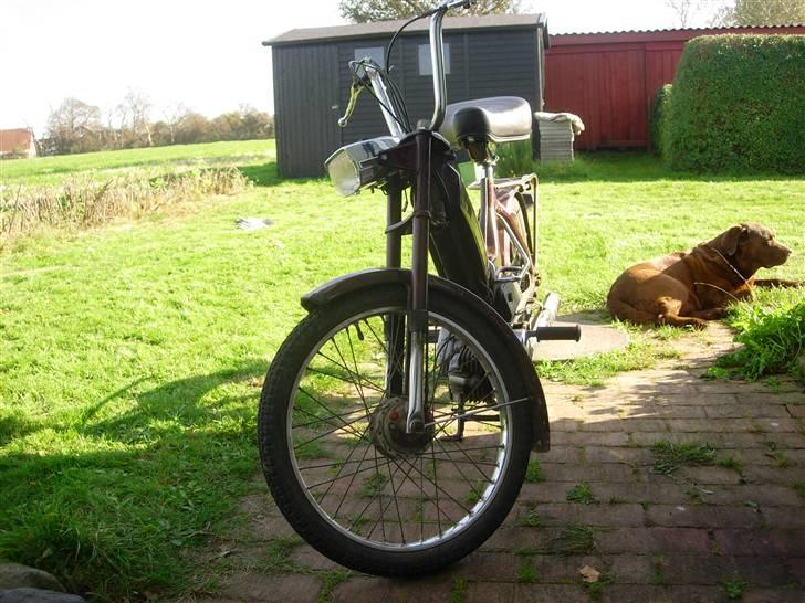 Puch Maxi K @ Solgt :'(  - Puch Maxi K XD billede 1