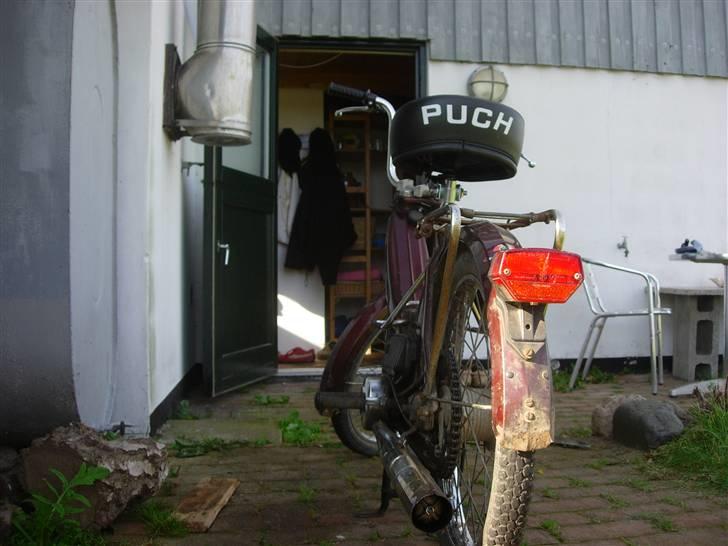 Puch Maxi K @ Solgt :'(  billede 5