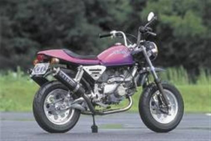 Skyteam Gorilla - fremtid :D (syyg monkey) billede 5