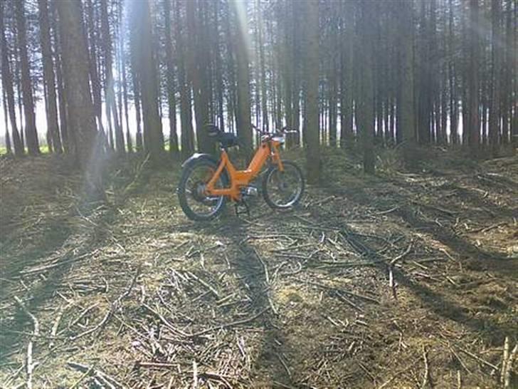 Puch maxi k billede 4