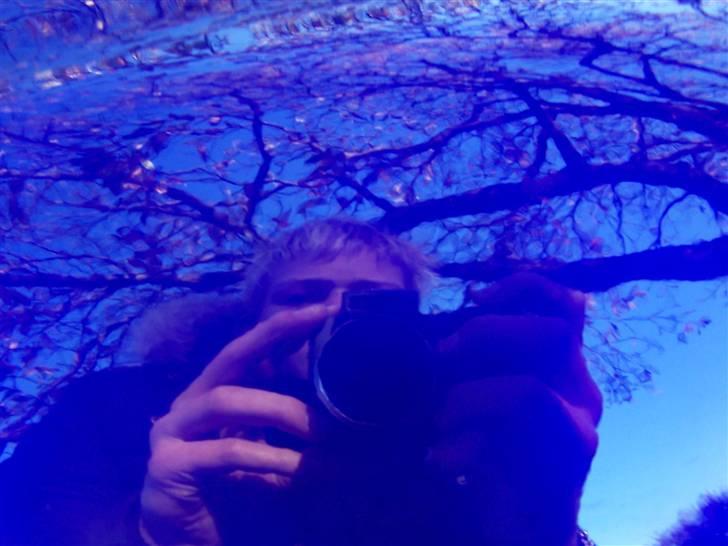 PGO Hot 50 (BYTTET)  billede 6