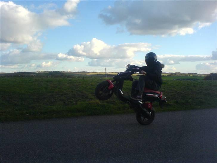 PGO Pmx Sport(Byttet Til Rcr) - Baghjul! billede 14