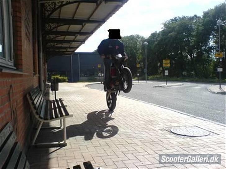 Derbi senda  billede 5