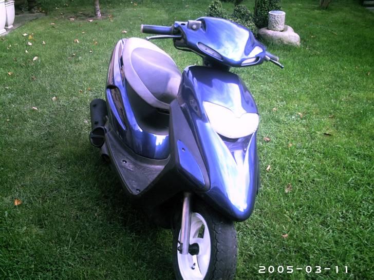 Honda Sfx (SOLGT) billede 2