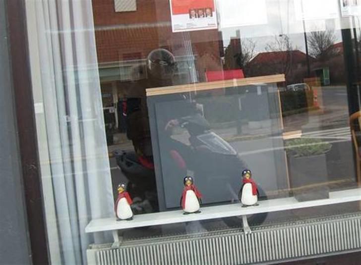 Aprilia Sonic - stjålet - Sonicen @ banken billede 3