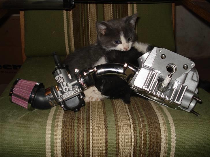 Honda cd50 88cc Solgt - prøve opsæt med 20 mm dellorto og det nye Kundo topstykke billede 12