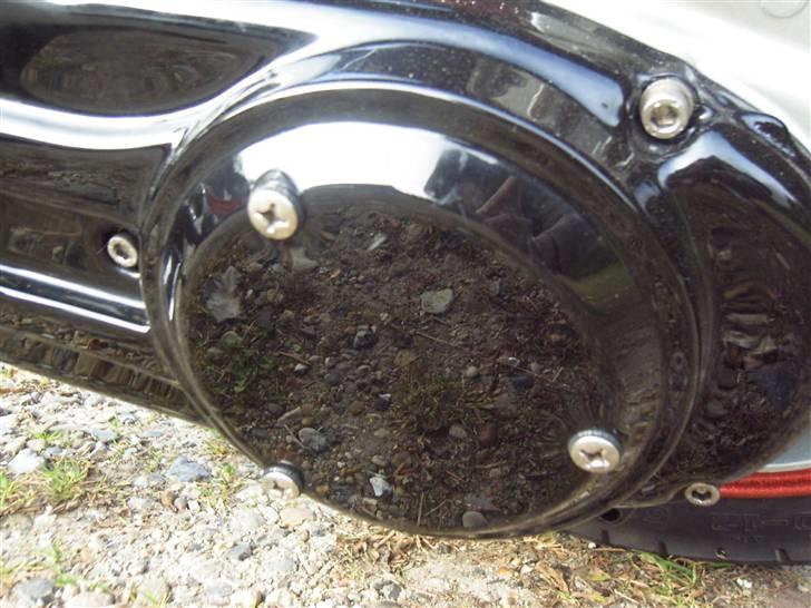 Suzuki StreetMagic (væk :s) - Uhh :D .. Kan i sige BLAAANK sort? :P billede 6