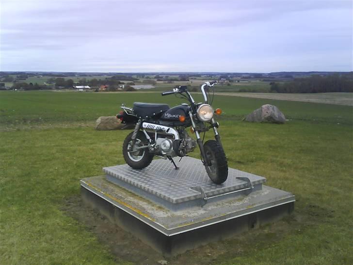 Skyteam monkey før billede 1