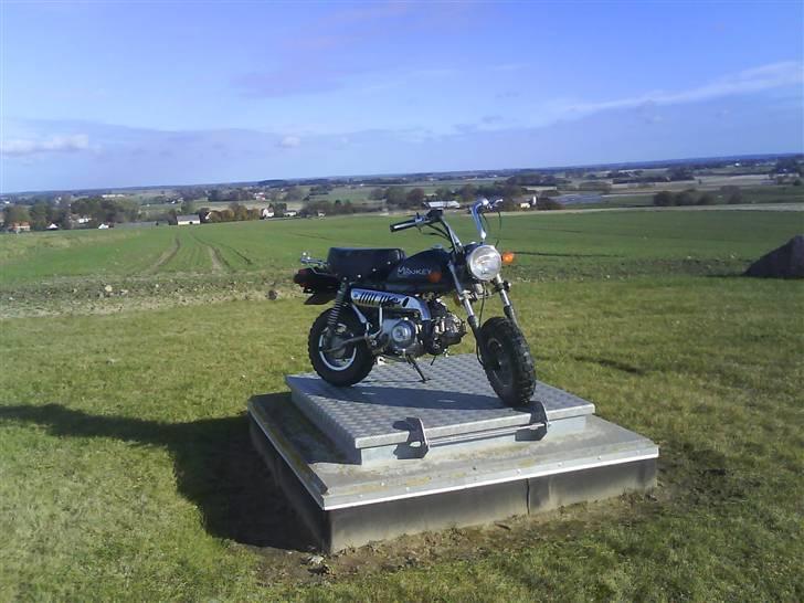 Skyteam monkey før billede 2